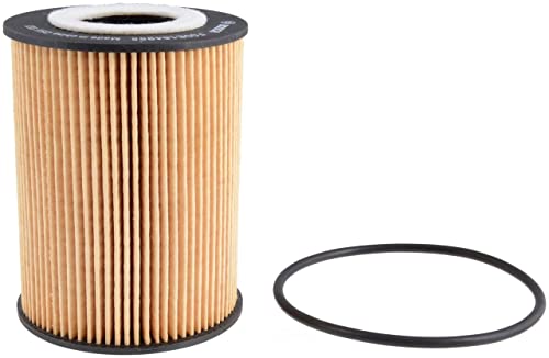 BOSCH 3985 Premium Oil Filter With FILTECH Filtration Technology - Compatible With Select BMW M5, M6; Porsche 911, Cayenne, Macan, Panamera